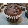 Choco Moist Muffins